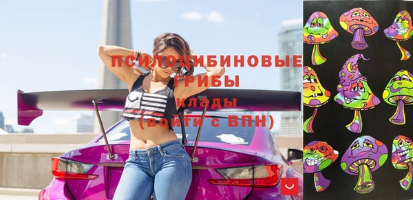 прущие крисы Новодвинск