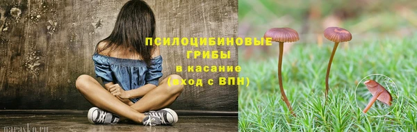 прущие крисы Новодвинск