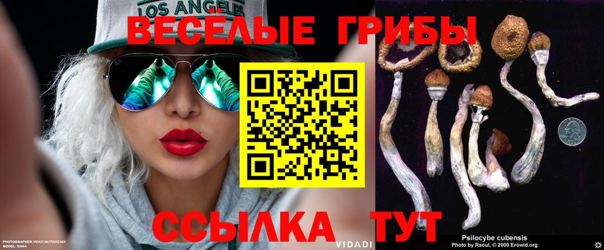 Псилоцибиновые грибы ЛСД Нягань